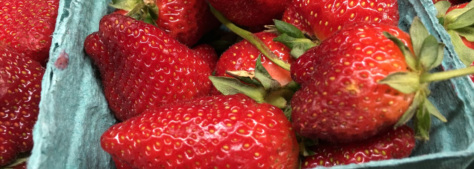 Standard Foods 41-225.jpg