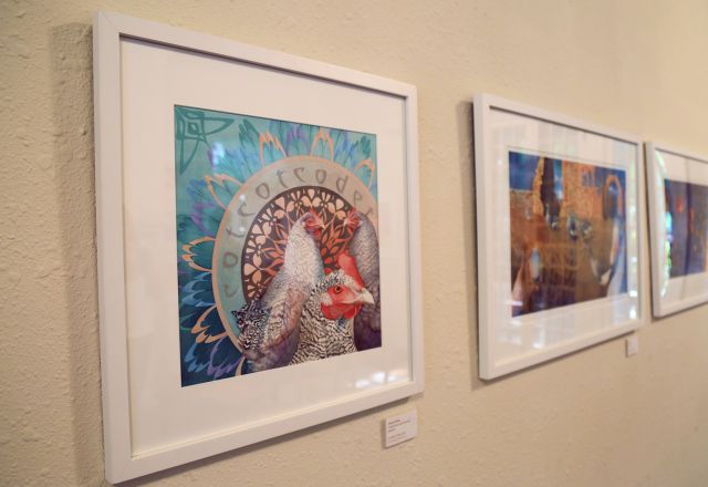 Linda Dallas Gallery