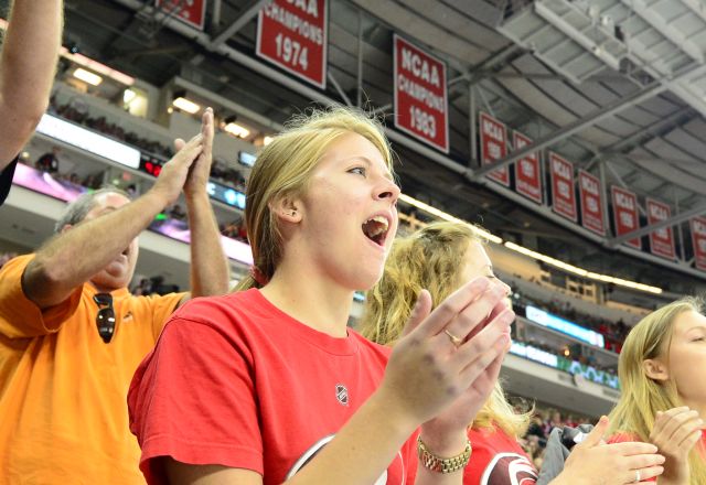 Sports fans enjoying Carolina Hurricanes hockey game