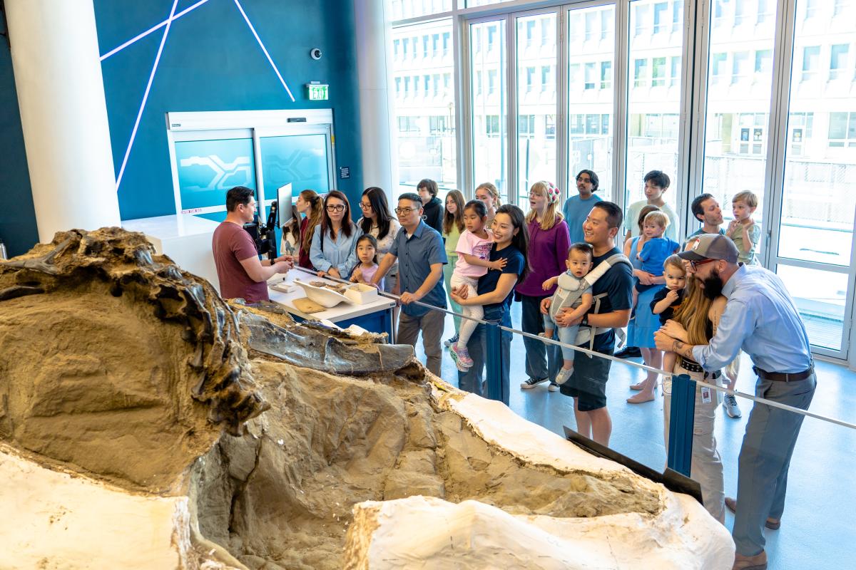 Dueling Dinosaurs at North Carolina Museum of Natural Sciences
