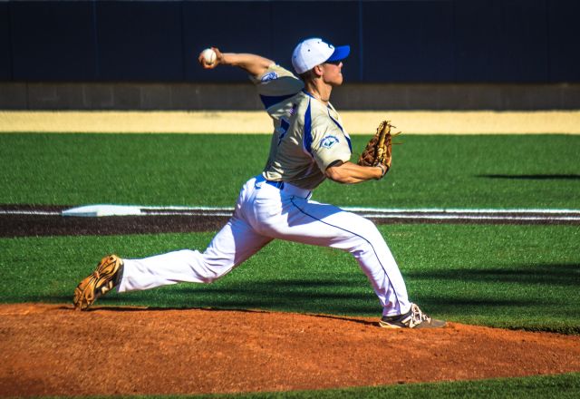 Copy of Holly Springs Salamanders.jpg