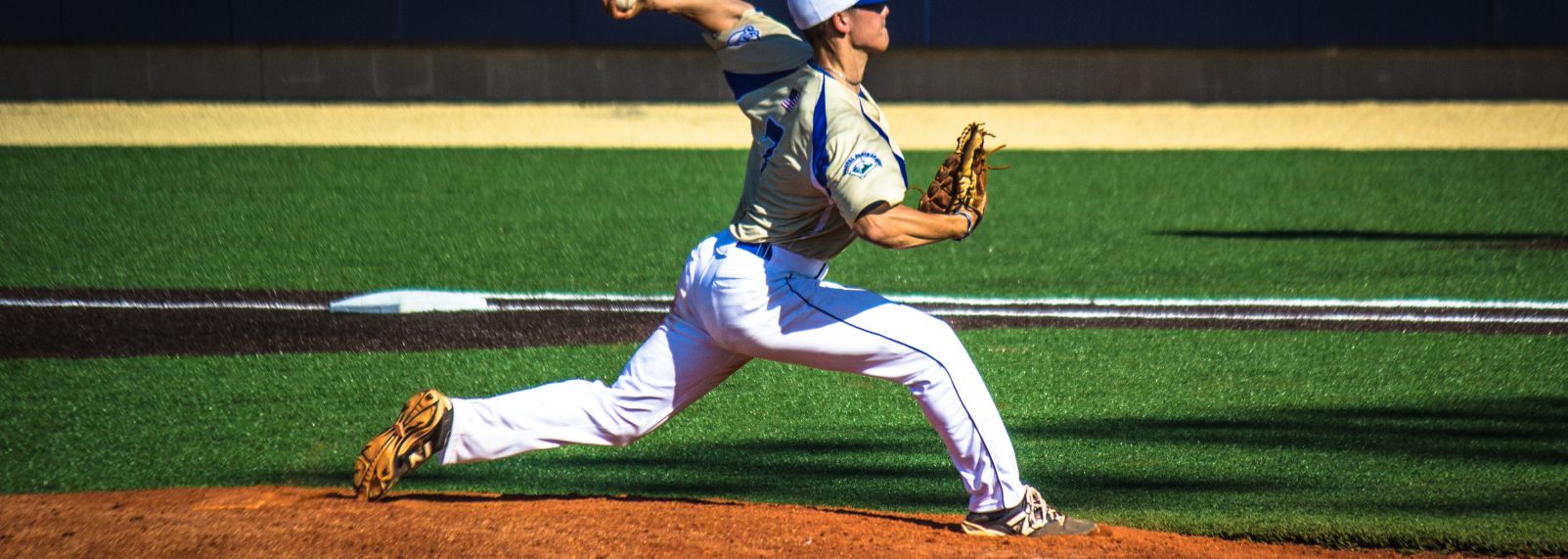 Copy of Holly Springs Salamanders.jpg