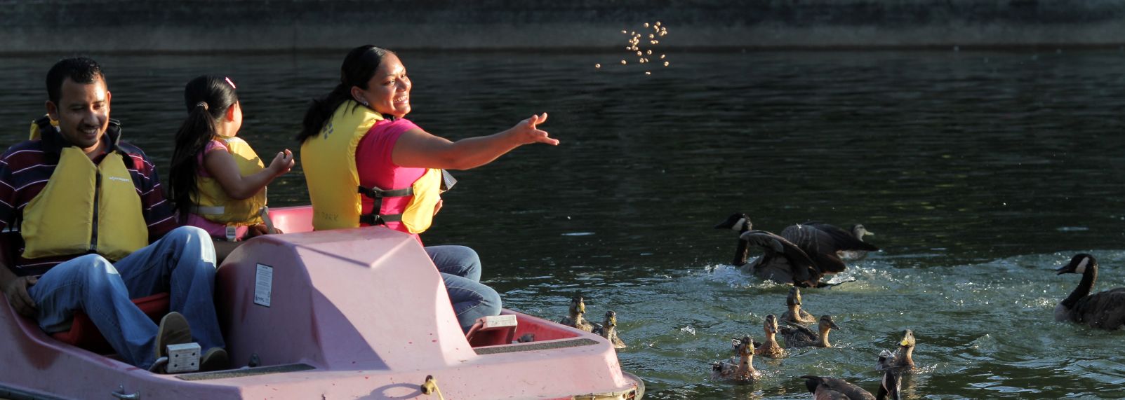 Family Feeding Ducks From A Paddle Boat In Pullen Park