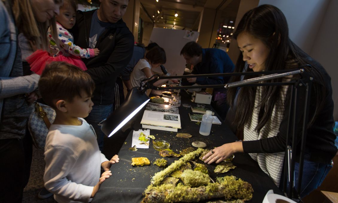 N.C. Museum of Natural Sciences