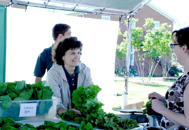 Copy of Holly Springs 03-207.jpg