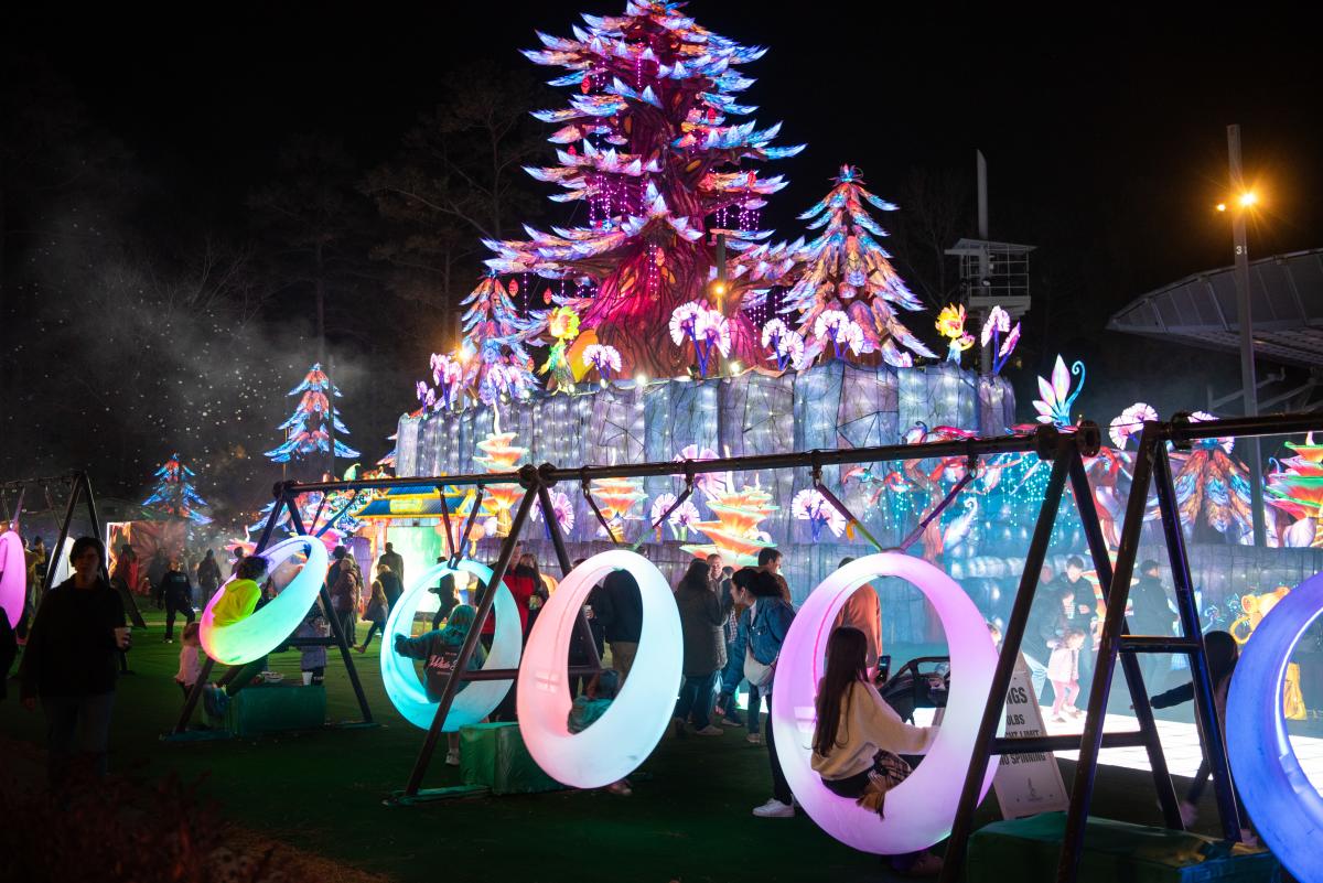 Chinese Lantern Festival 2025