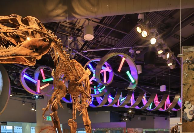 North Carolina Museum of Natural Sciences