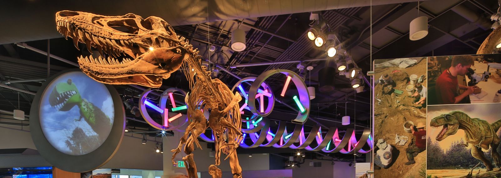 North Carolina Museum of Natural Sciences