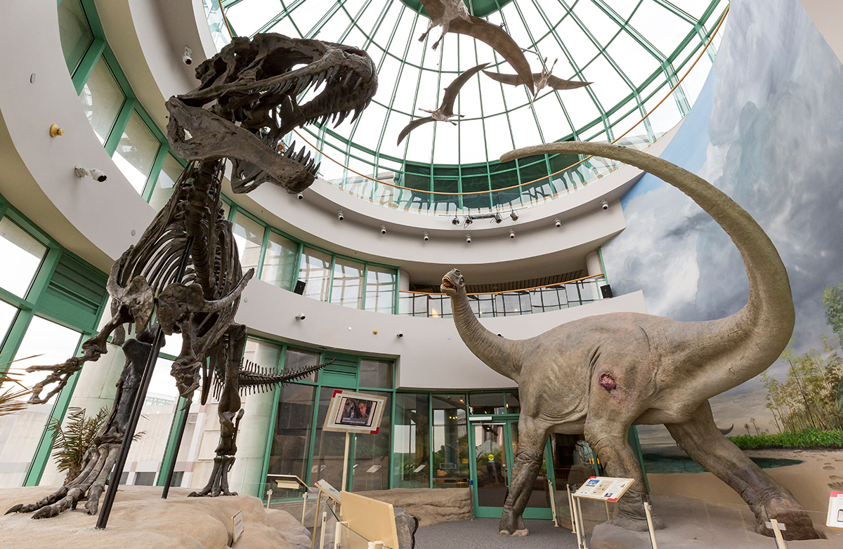 North Carolina Museum of Natural Sciences