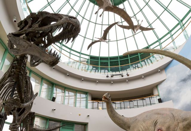 North Carolina Museum of Natural Sciences