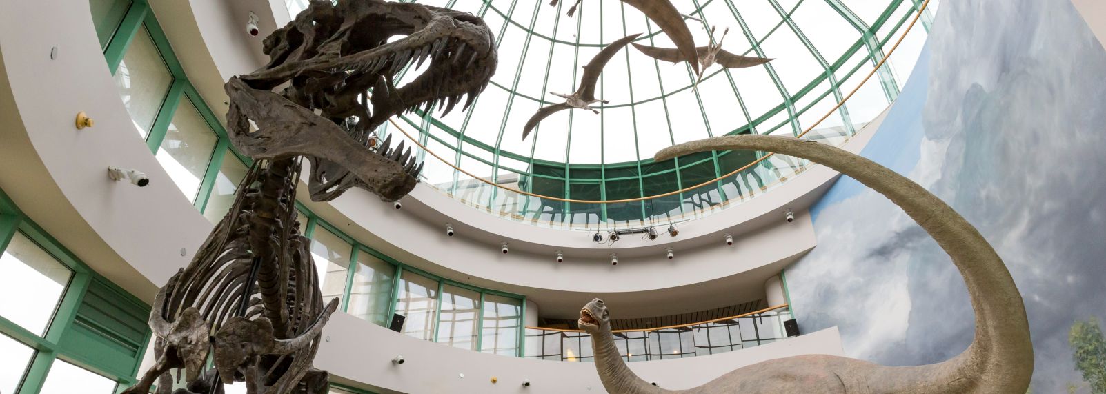 North Carolina Museum of Natural Sciences