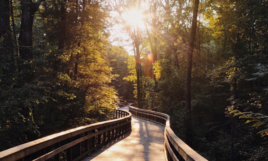 Walnut Creek Trail Greenway